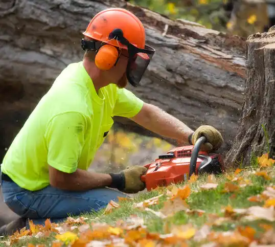 tree services Risingsun